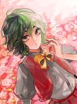  ascot bad_id bad_pixiv_id dutch_angle eyelashes field flower flower_field green_hair hands kazami_yuuka lips otsukaresanpo petals pleated_skirt red_eyes short_hair skirt skirt_set solo touhou vest 