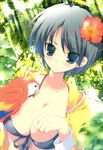  absurdres bikini_top bird blush breasts cleavage eyes_visible_through_hair flower front-tie_top hair_flower hair_ornament highres kirishima_sakura large_breasts macaw mikeou parrot sakura_sakura scarlet_macaw short_hair solo 