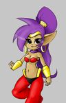  brown_skin cleavage clothed clothing female hair imp looking_at_viewer pointy_ears ponytail purple_hair shantae shantae_(series) solo 