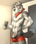  2015 abs animal_genitalia anthro black_nose border_collie brown_eyes bulge canine clothed clothing collie diz dog fur grey_fur half-dressed handkerchief male mammal muscles navel penis phone presenting sheath solo topless underwear vallhund 