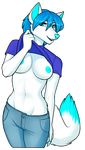  2015 anthro blue_hair breasts canine clothing cyan_eyes cyan_nipples female fur hair mammal nipples pants porin shirt shirt_lift solo white_fur 