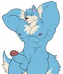  anthro areola armpits balls biceps canine dog erection fur half-closed_eyes maldu mammal manly muscles navel nipples nude penis raised_arm simple_background smile standing thick_penis vein veiny_penis white_background 