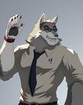  canine eyes_closed eyewear fluffy fur glasses mammal muscles necktie wolf 阿狼 