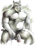  anthro balls barazoku front_view horn looking_at_viewer male mammal manly moobs musclegut navel nude partially_retracted_foreskin penis precum requiembeatz rhinoceros sitting smile solo traditional_media_(artwork) uncut watercolor_(artwork) 