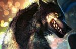  abstract_background angry black_fur black_nose canine clenched_teeth detailed digital_media_(artwork) fangs fur grey_fur light male mammal nude portrait pose simple_background smile solo teeth were werewolf yellow_eyes yukkawerewolf 