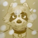  anthro collar invalid_tag looking_at_viewer male mammal piercing raccoon snow solo yonk 