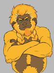  anthro beard braided_beard clothed clothing crossed_arms digital_media_(artwork) facial_hair frown garland_(character) golden_lion_tamarind half-dressed half-length_portrait looking_at_viewer male mammal monkey musclegut nokemy primate solo topless 