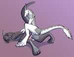  ball_gag domination dragon gag ketu male male/male malikai penetration sergal submissive tagme vashdragon 