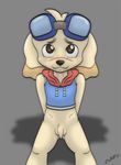  anthro anthrofied balls blush bottomless canine clothed clothing cub digital_media_(artwork) dog eyewear flaccid front_view goggles goggles_on_forehead half-dressed looking_at_viewer male mammal miniferu penis signature solo standing tetsunoshin uncut wan_wan_serepuu_soreyuke!_tetsunoshin young 