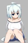  ahoge animal_ears bare_shoulders blush breasts cat_ears cat_tail expressionless felt_whitesnow frown highres jitome large_breasts looking_at_viewer off-shoulder_shirt off_shoulder original sawati shirt short_hair_with_long_locks shorts sitting solo tail white_hair 