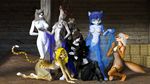  angry_cat anthro breasts canine cat cheetah dog feline female fox herm intersex khajiit krystal lassie lilith mammal meinkun nintendo nipples nude pussy sally smile star_fox the_elder_scrolls video_games 