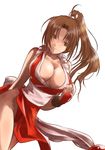  breasts brown_eyes brown_hair cleavage fatal_fury japanese_clothes kagehi_no_loo large_breasts long_hair panties pelvic_curtain ponytail red_panties rope shimenawa shiranui_mai slender_waist solo the_king_of_fighters underwear 