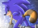  anal anal_insertion anal_penetration angelofhapiness anus butt clothing ereciton gloves hedgehog insertion male mammal nude penetration penis presenting presenting_hindquarters solo sonic_(series) sonic_the_hedgehog 