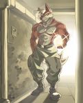  abs belt boots cargo_pants chirenbo clothed clothing dog_tags footwear fur glowing hair half-dressed inside looking_away male muscles necklace nipples orb red_eyes red_fur solo standing topless white_hair 