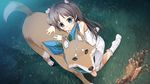  bird blood blue_eyes blush bow brown_hair cura dead_animal death dog dress game_cg grass hair_bow highres kneeling long_hair mekkai monobeno night sawai_natsuha scar scarf white_legwear wristband 