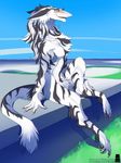  byakurai_tora male outside sergal sitting trancy_mick 