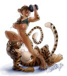  2015 abs anthro big_breasts breasts cunnilingus dumbbell fangs feline female female/female lactating mammal muscles muscular_female nipples open_mouth oral pussy sayuncle sex tiger vaginal weights 