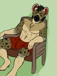  chair clothing hyena male mammal shiloh underwear 