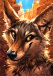  2015 ambiguous_gender anthro brown_eyes brown_fur canine canyon coyote fur headshot_portrait kenket mammal painting portrait smile solo white_fur 