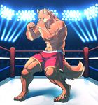  abs biceps big_muscles boxer_(disambiguation) canine canyne_khai dog fur green_eyes male mammal muscles orange_fur solo 