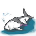  cute fish great_white_shark marine shark uitinla 