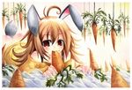  ahoge animal_ears ass blush brown_eyes brown_hair bunny_ears bunny_tail carrot copyright_request eating emperpep solo tail traditional_media watercolor_(medium) 