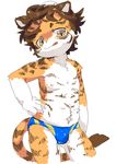  aliasing anthro bulge clothed clothing cub digital_media_(artwork) feline front_view half-dressed hand_on_hip licking licking_lips male mammal navel nipples noriburu penis_outline solo speedo standing swimsuit tiger toned tongue tongue_out topless young 
