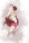  2015 abstract_background anthro blue_eyes boxers_(clothing) bulge claws clothed clothing fluffy half-dressed male pose raised_tail simple_background sketch smile snowskau solo tetton underwear 