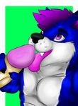  2015 canine coco dog erection hair invalid_color licking male male/male mammal penis proxythehusky purple_hair sex teenager tongue tongue_out young 