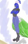  anthro avian beak bird blacktail_(artist) blue_eyes clothed clothing crossed_arms digitigrade feathers male muscles peafowl simple_background solo talons 