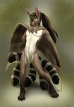  balls cacomistle canine dragon fox hybrid mammal multiple_tails nude ringtailed_cat sheath trunchbull_(artist) wings 