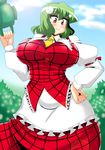  akasode_(tyaramu) ascot blush breasts curvy flower green_hair hand_on_hip huge_breasts kazami_yuuka plaid plaid_skirt plaid_vest red_eyes short_hair skirt skirt_set smile solo touhou vest 