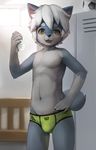  briefs bulge canine clothing cub dog front_view husky locker_room male mammal ruugiaruu solo underwear young 