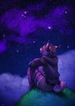  2015 anthro clothing falvie feline female fur hair lynx mammal night outside sitting sky solo star 