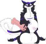  animal_genitalia balls big_balls big_penis black_fur erection fluffy fur horsecock huge_balls hyper hyper_balls hyper_penis looking_at_viewer male male_pregnancy penis pregnant sergal solo 