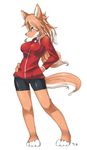  2015 brown_fur brown_hair canine chaora clothed clothing digital_media_(artwork) female fur hair jacket long_hair mammal shorts simple_background solo standing white_background white_markings wolf yellow_eyes 