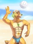  abs beach bulge clothing littlefreckles male mammal muscles pinup pose raccoon seaside speedo swimsuit volleyball zigzagg 