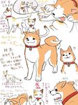  :3 ? ambiguous_gender balls belly canine cat clawlion claws collar comic dog fangs feline feral japanese_text male mammal tears text translation_request 