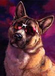  akita ambiguous_gender canine dog eyewear feral fur kenket mammal ramen_(character) solo sunglasses 