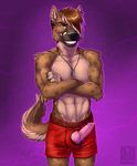  anthro biceps canine clothed clothing dog erection fur hair half-dressed husky hybrid hyena hyusky knot looking_at_viewer male mammal manly muscles navel pecs penis purple_background sharp_teeth short_hair shorts smile solo standing teeth vallhund 