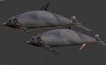  3d blender dolphines gdane mamal penis sea water 