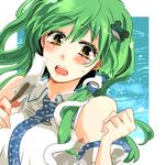  bad_id bad_pixiv_id detached_sleeves frog green_hair hair_ornament kochiya_sanae long_hair lowres open_mouth popoin snake solo sweat touhou yellow_eyes 