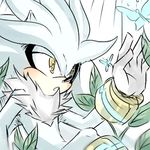  animal animal_ears blush bug butterfly insect lowres male_focus nature silver_the_hedgehog solo sonic_the_hedgehog yellow_eyes 