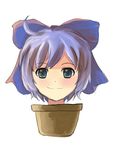  cirno face flower_pot moriya parody plant potted_plant smile solo tomak touhou what 