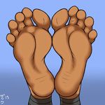  2015 5_toes ambiguous_gender ankles feline foot_fetish foot_focus humanoid_feet mammal solo toes zp92 