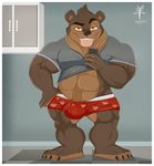  2015 aaron_(artist) abs anthro bear biceps boxers_(clothing) brown_eyes brown_fur brown_hair brown_nose bulge clothing fur hair looking_at_viewer male mammal musclegut muscles open_mouth shirt shirt_lift smile solo standing teeth tongue tongue_out underwear 