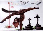  2015 anthro avian balancing bird breasts brown_fur brown_hair clouded_leopard feline female feral flying foxene fur hair handstand leopard long_hair looking_at_viewer mammal multicolored_hair nude pussy solo spread_legs spreading two_tone_hair upside_down 