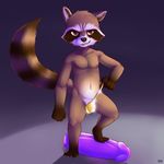  absurd_res anthro barefoot barely_contained clothed clothing digital_media_(artwork) dildo flaccid fluffy_tail front_view furfit grin guardians_of_the_galaxy half-dressed hi_res huge_dildo looking_at_viewer male mammal muscles naughty_face navel nipples pecs penis penis_outline penis_slip pinup pose pubes raccoon rocket_raccoon sex_toy signature solo step_pose thong topless underwear underwear_pull 
