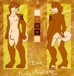  2015 4_toes anthro barefoot brown_fur brown_hair butt canine dog english_text fur hair happy hindpaw husky looking_at_viewer male mammal model_sheet multiple_angles nipples nude pawpads paws simple_background siriuswolfus smile soles solo star tan_fur text toes wolf 