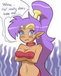  1girl blue_eyes blush breasts cleavage crossed_arms dark_skin earrings english jewelry pointy_ears ponytail purple_hair shantae shantae_(character) simple_background solo 